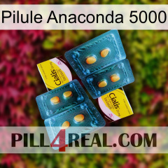 Anaconda 5000 Pill cialis5